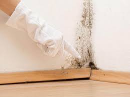 Best Real Estate Mold Inspection  in Lindale, GA